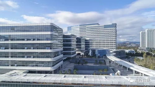 臺州建筑工程榮獲國家級大獎，彰顯卓越品質與創新實力